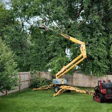 Best Commercial Tree Services  in Opelika, AL